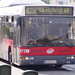 busz (50)