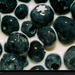 blueberries-in-milk-967735-xl (Medium)