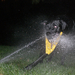 simon&the sprinkler