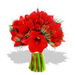 red-amaryllis-bouquet--flowers (Small)