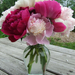 Mixed Peonies in Vase