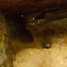 a barlang