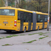 Busz P-00597 2