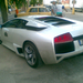 Murcielago