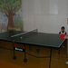 ping-pong- parti