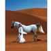 Arabian Horse show by shehri